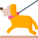 collar Dog Kennel Strabane